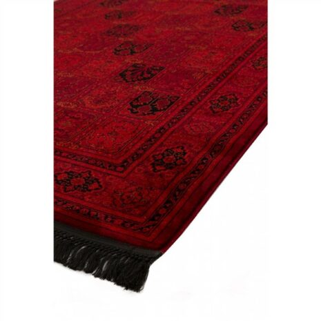 r_c_afghan_8129_1 r_c_afghan_8129_1